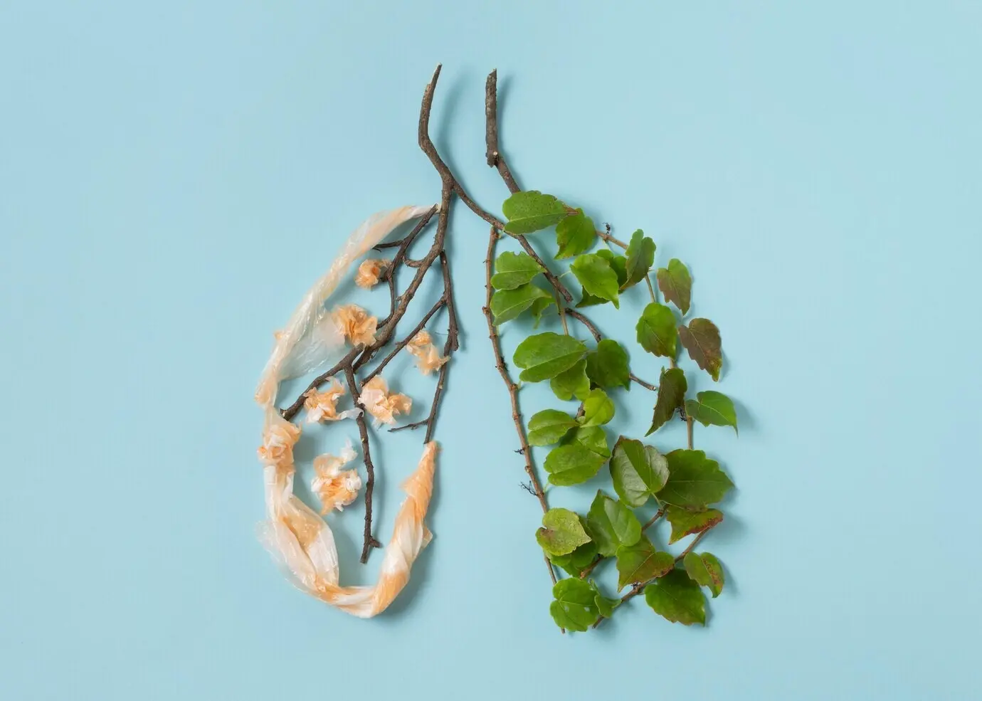 Still-life arrangement of sustainable lifestyle elements