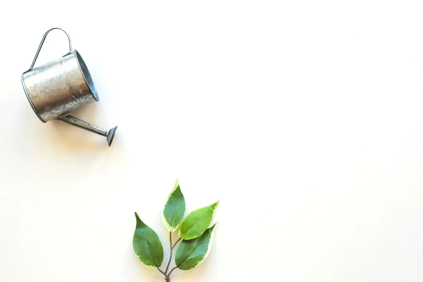 A watering pot above a green leaf.